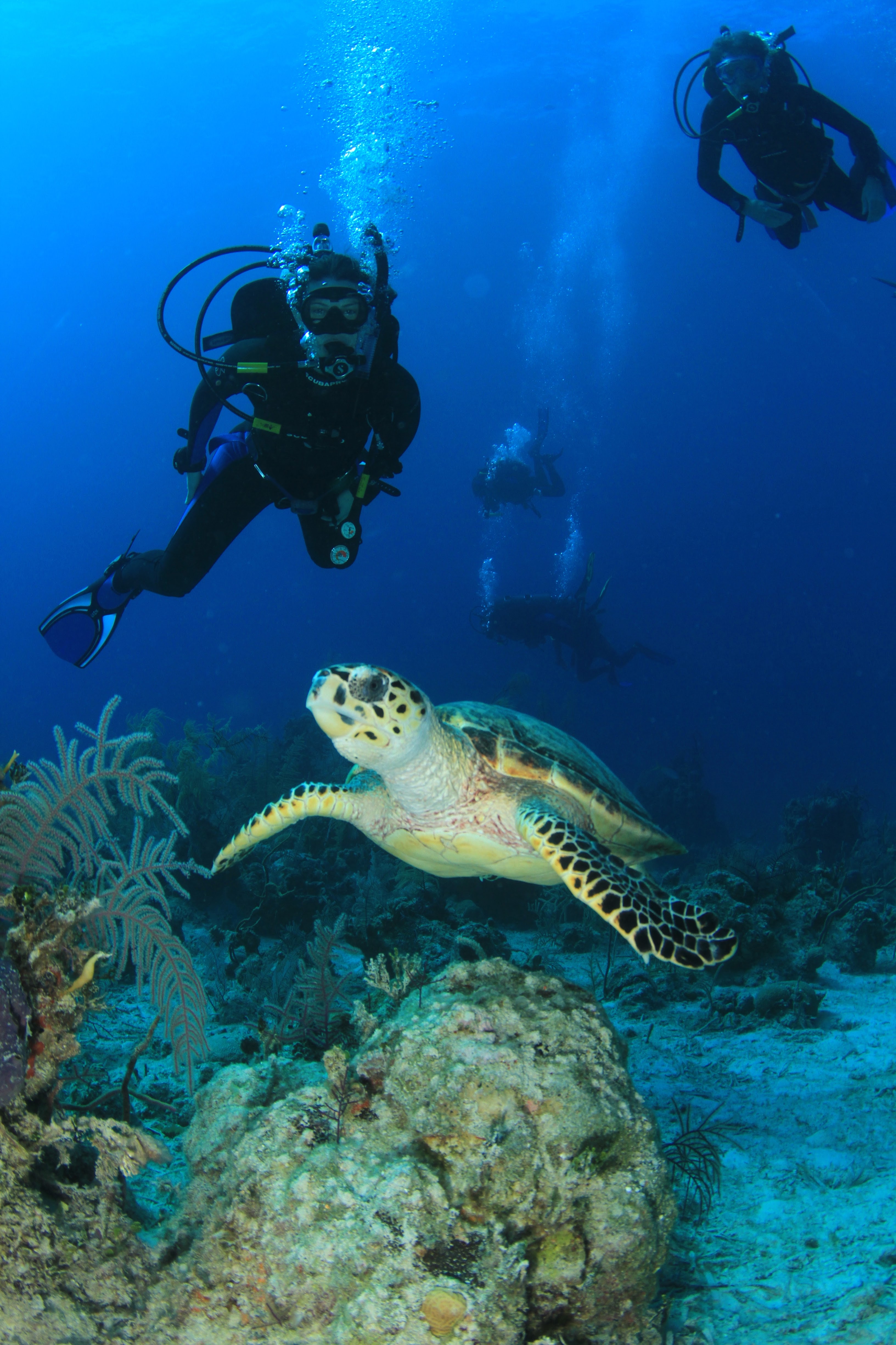 Unsplashed background img 2